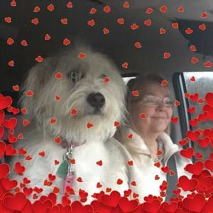 Meet your Posher, Gail